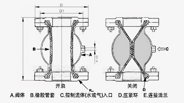 (dng)DyߴD